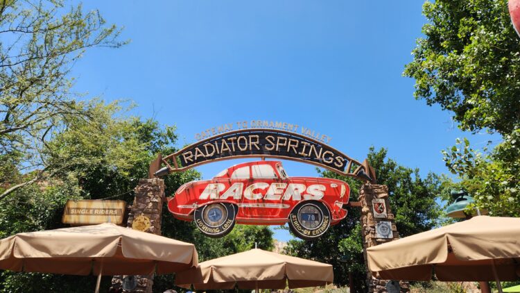 Radiator Springs Racers is a Lightning Lane Single Pass attraction